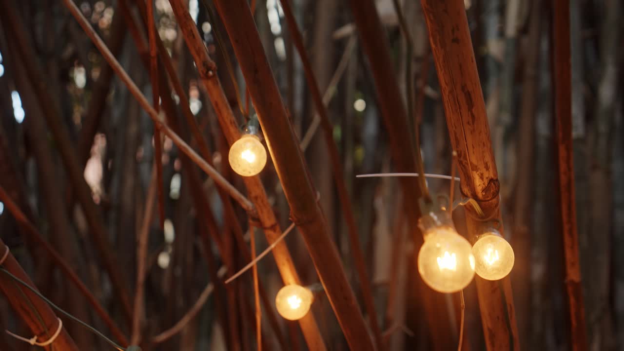 집 정원에 멋진 따뜻한 전구로 장식된 대나무