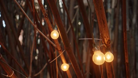Bambusbaum-Geschmückt-Mit-Schönen-Warmen-Glühbirnen-Im-Hausgarten