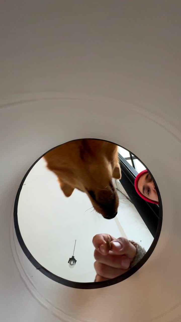 원형 구으로 내려다보는 사람