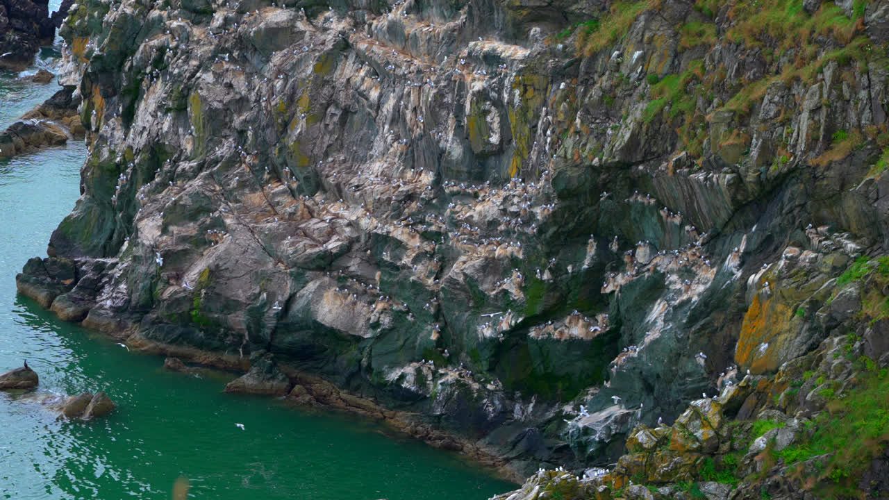 Seabirds glide above the rocky cliffs of Howth Peninsula as waves crash below. The rugged coastline, with its towering cliffs and endless ocean, captures the untamed beauty of Ireland’s east coast.