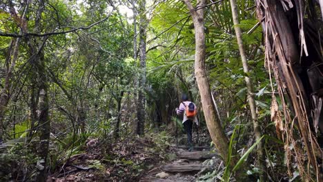 Asian-female-with-walking-poles-stepping-over-steps-in-natural-walking-area,-New-Zealand