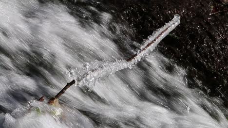 ice formed on a branch by waterfall in a small stream