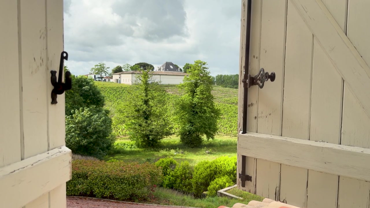 A slow camera movement pushes through an open window toward lush green French vineyards