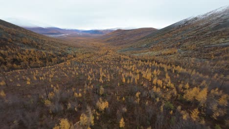 venture into a stunning remote valley where golden trees blanket the land, showcasing the beauty of autumn in a tranquil, untouched environment amidst the cloud-covered mountains