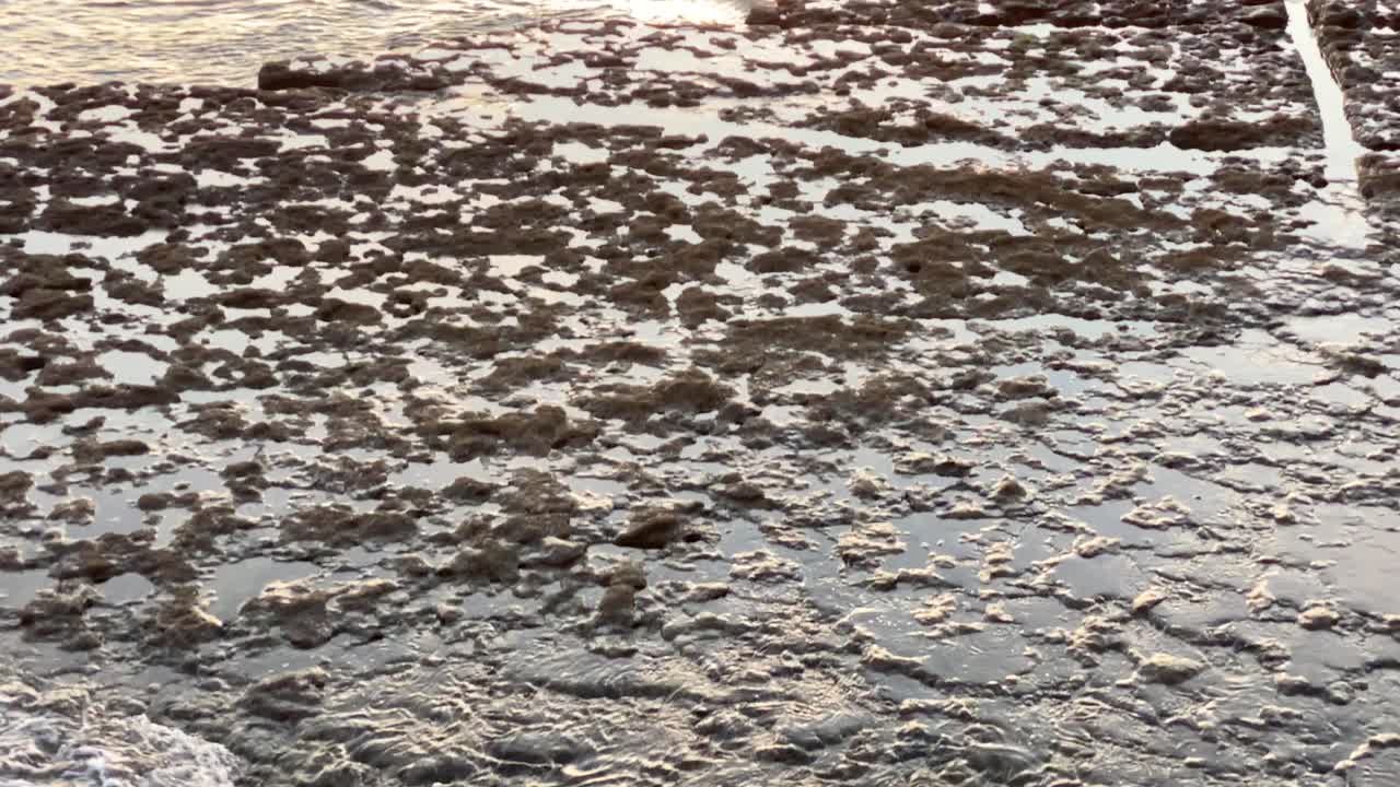 바위에서 대서양의 거대한 일몰까지 넓은 전망, 카스카이스