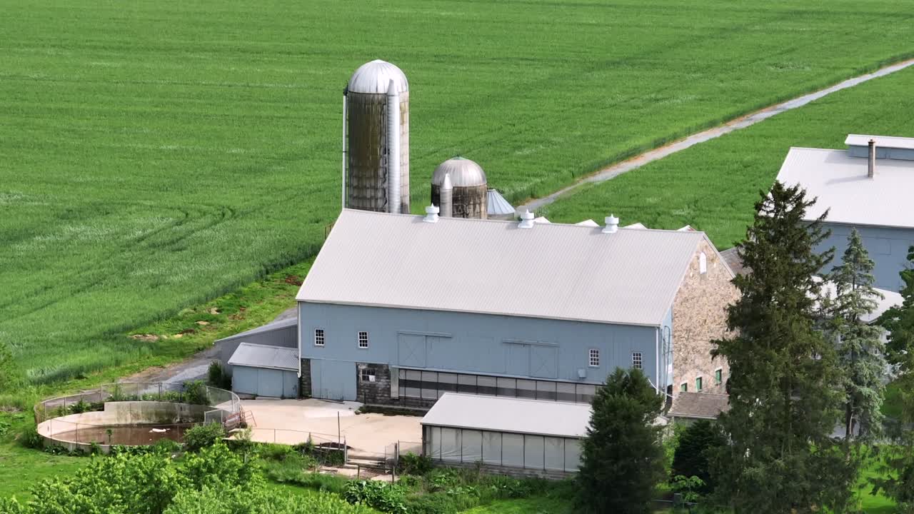Building and silo storage of american countryside farm during sunny day. Green grass cropland in rural landscape of United States. Aerial approaching shot.