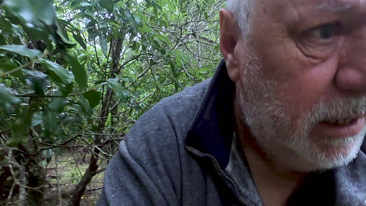 un anciano caucásico asustado y asustado con bigotes grises luchando por abrirse camino a través de un denso matorral