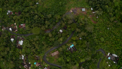 Pequeñas-Casas-Tropicales-Escondidas-En-La-Selva.-Vista-Aérea-De-Arriba-Hacia-Abajo-De-Casas-Rurales-Rodeadas-De-Selva-Tropical-Salvaje-Y-Palmeras