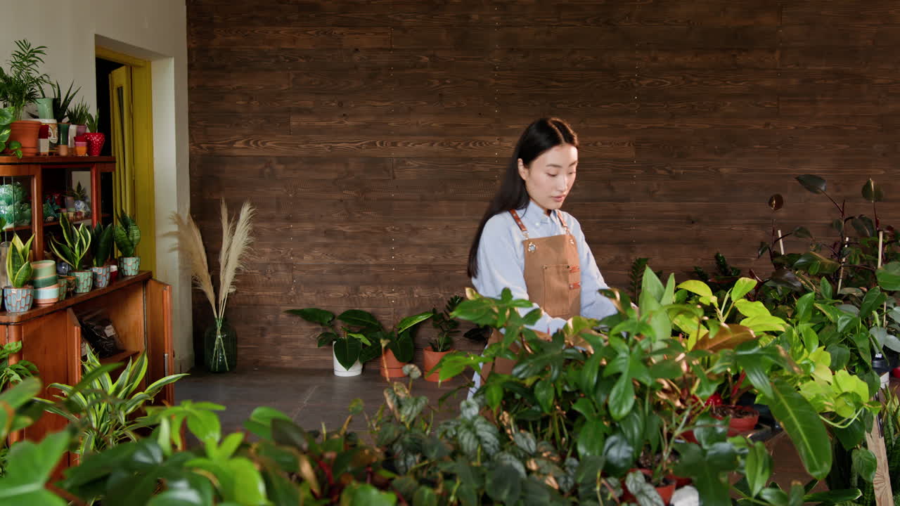 정원 가게 에서 식물 을 점검 하는 여자