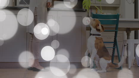 woman standing by dark countertop in kitchen, beagle sitting, with animated bokeh and health icons