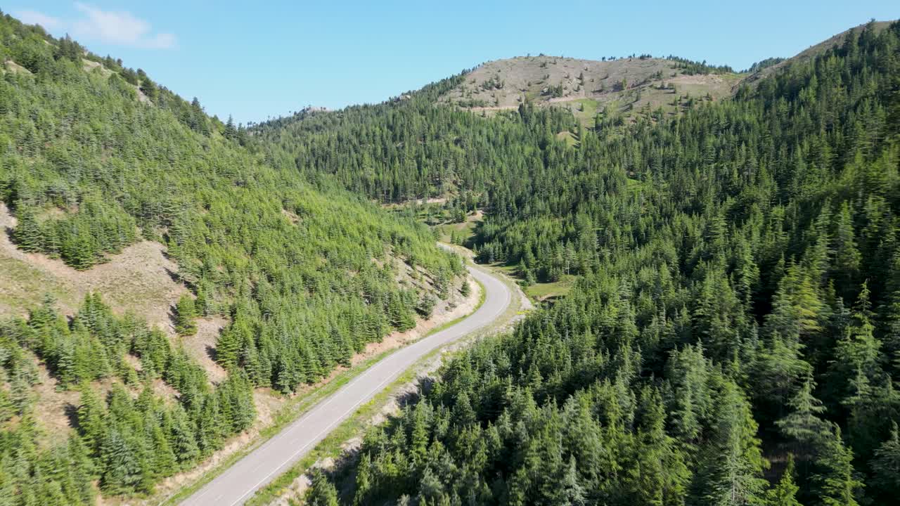 그린 힐스 로드