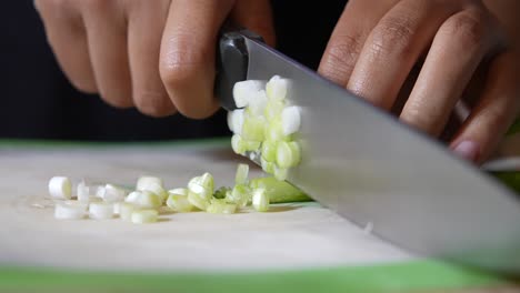 cortando cebollas verdes para adornar una comida sabrosa