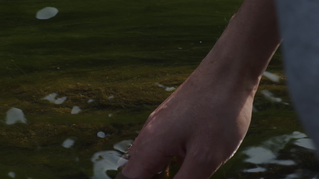 A male hand feeling the shallow waters of a lake