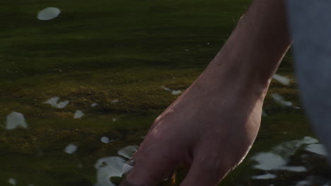 una mano masculina sintiendo las aguas poco profundas de un lago