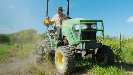 a farmer works on a small tractor uproots weeds near the vineyard