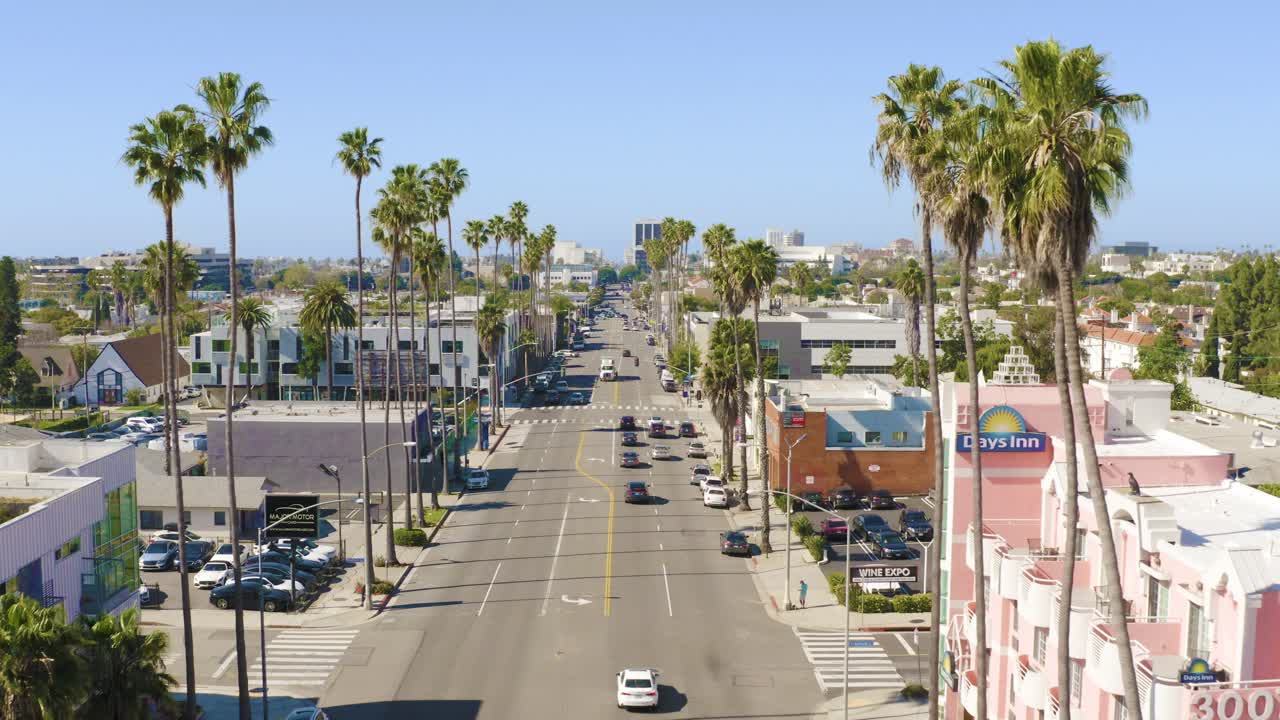 Amazing aerial fly through palm trees over a city street during a beautiful sunny day