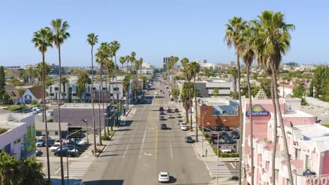 amazing aerial fly through palm trees over a city street during a beautiful sunny day