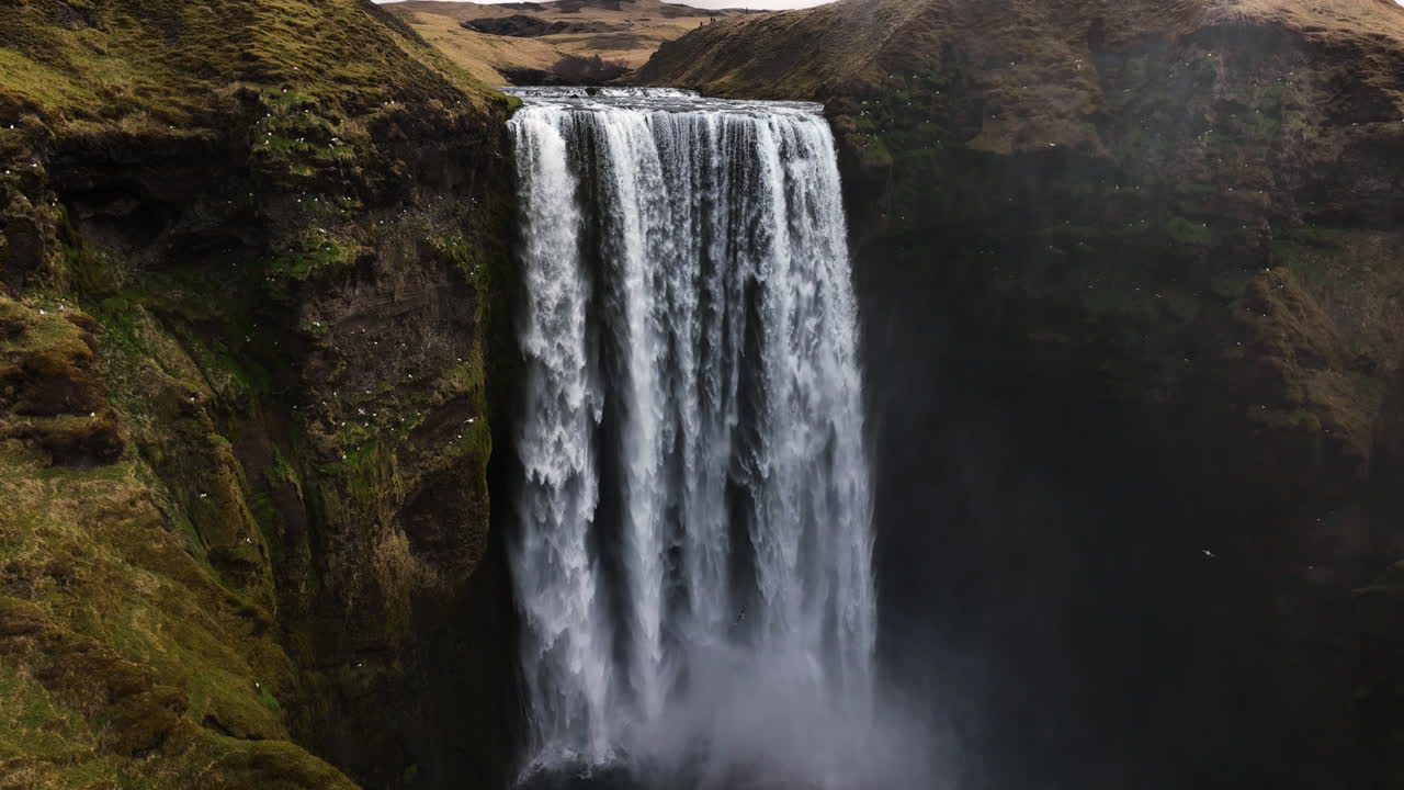 vista aérea de aves volando alrededor de la cascada de skogafoss, un día de otoño en islandia - retiro, toma de avión no tripulado