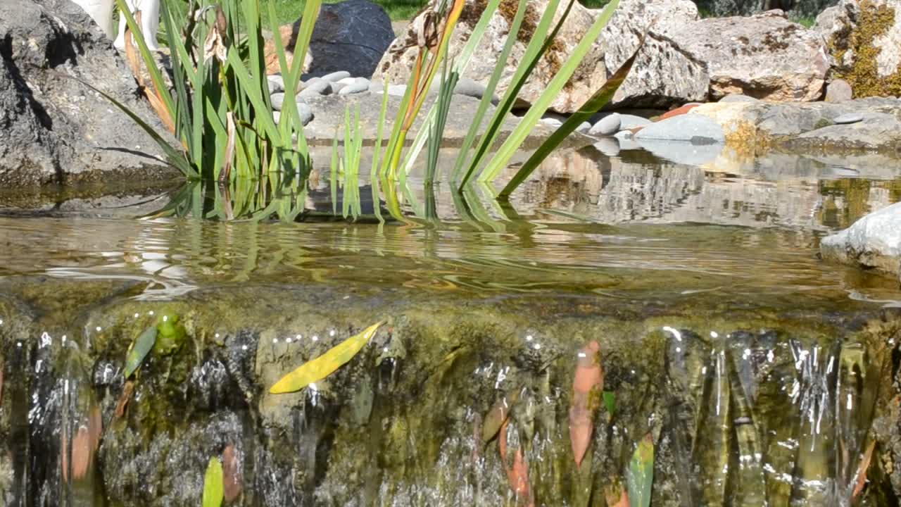 Cascate, torrente, fiume di montagna