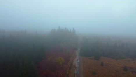 Forest-landscape-with-gravel-road-in-heavy-fog,-aerial-fly-backward-view