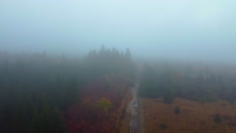 forest landscape with gravel road in heavy fog, aerial fly backward view