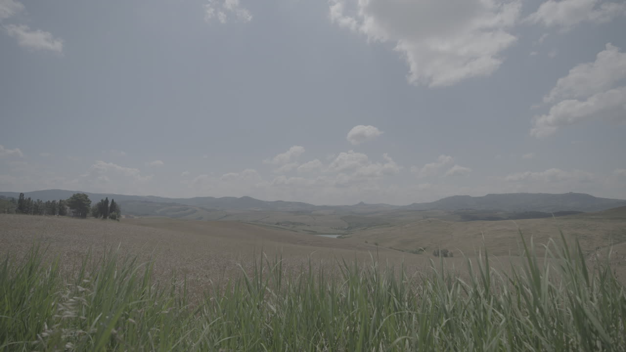 fotografía de campos de granja dorados en la toscana, italia paisaje en un día soleado con cielo azul y nubes en el horizonte con plantas secas hierba en primer plano moviéndose a través en cámara lenta tronco