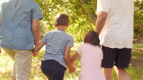 Großeltern,-Die-Mit-Ihren-Enkelkindern-Auf-Dem-Land-Spazieren-Gehen