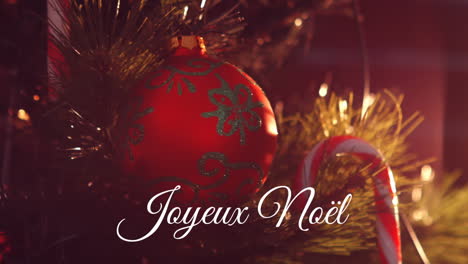 joyeux noã«l written over christmas tree