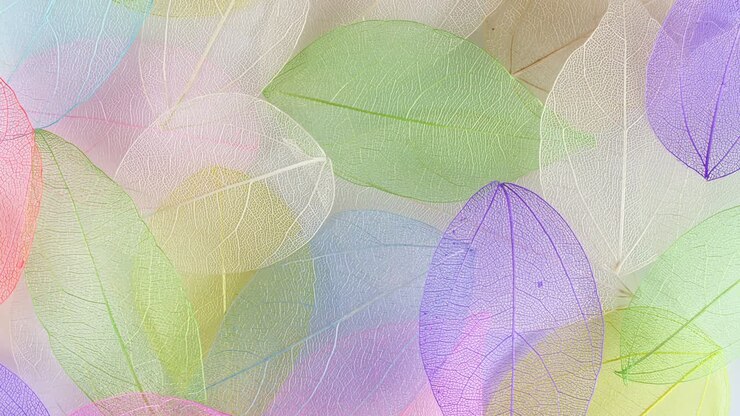 Slow Motion of Multicolor, Transparent Leaves of the Skeleton with a Beautiful Texture. Macro shot