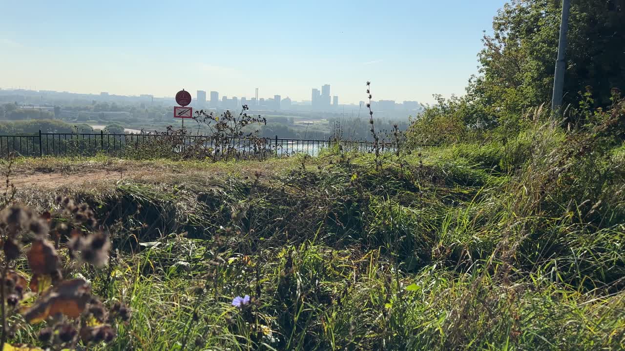High-rise panorama of skyscrapers from a natural park (4K60)