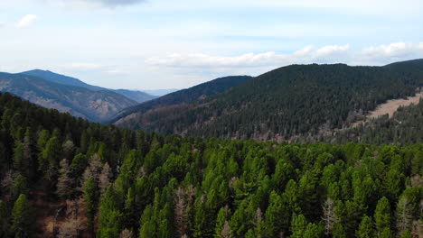 vista aérea de un vasto bosque de coníferas y una cordillera