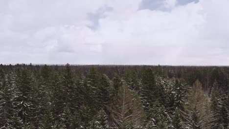 toma aérea de retroceso volando bajo sobre las copas de los árboles verdes mientras nieva en la temporada de invierno en alemania