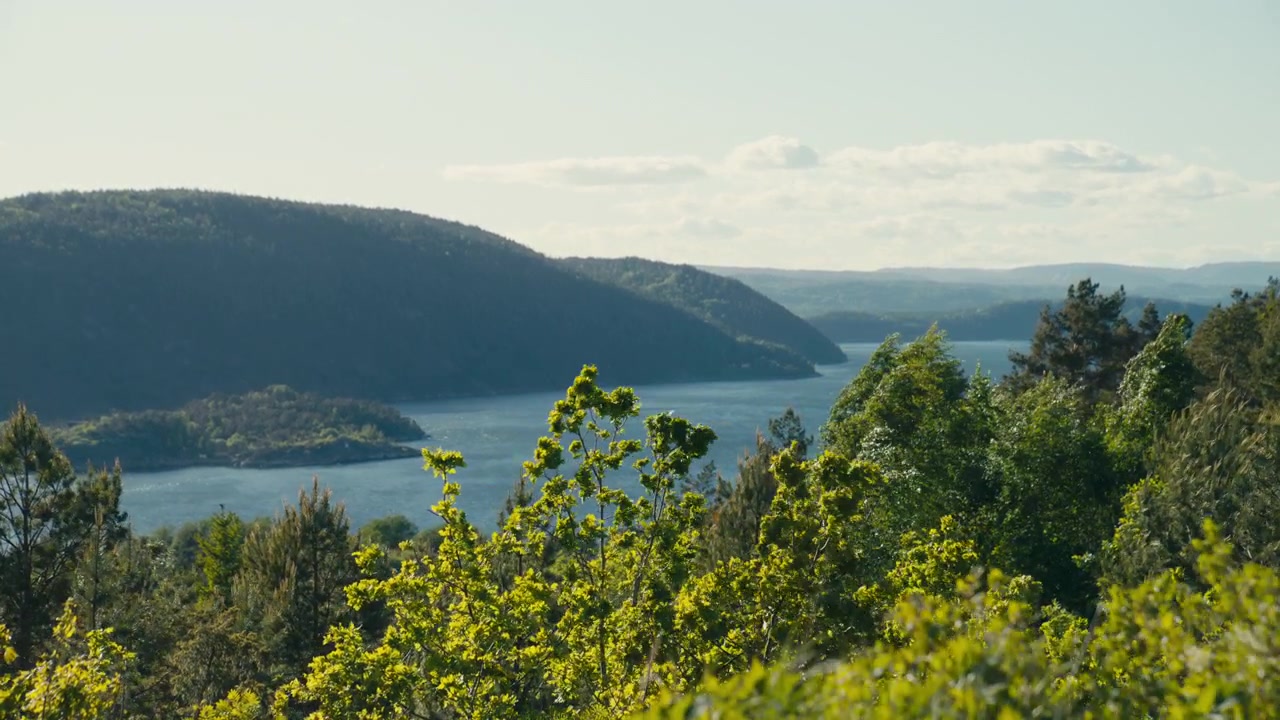 Ett solbelyst fjordlandskap vecklar ut sig i slow motion när stark vind rör sig genom ljusgröna trädtoppar ovanför blått vatten, vilket skapar en levande skandinavisk naturscen med rörelse, friskhet och luftig sommar.