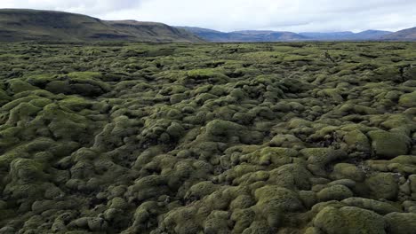 spectacular, unique landscape of mossy rocks in southeast iceland - aerial drone flight