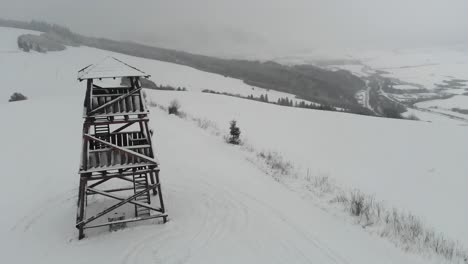 Person-climbing-down-bottom-stage-of-forest-lookout-tower-in-winter-scenery