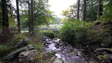 Fresh-river-stream-going-through-the-Ravensdale-Forest-Park-in-Ireland--wide