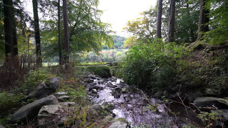 arroyo de río fresco que atraviesa el parque forestal de ravensdale en irlanda -toda