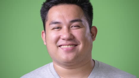 young handsome overweight asian man against green background