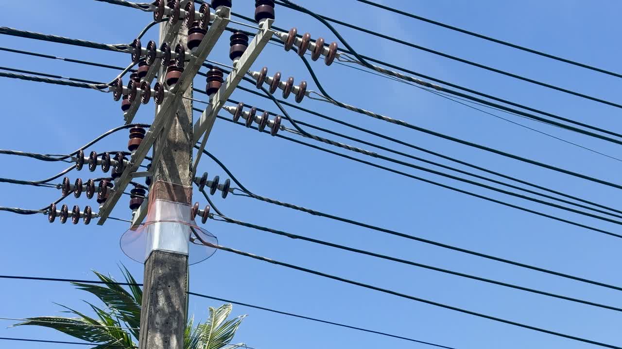 Utility pole with multiple power lines, palm tree, and clear sky, slow camera pan upward