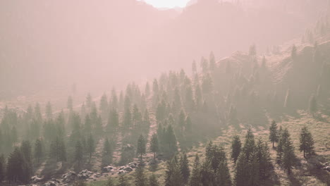 Swiss-Alps-with-Green-alpine-meadow-on-a-hillside-and-surrounded-by-forests