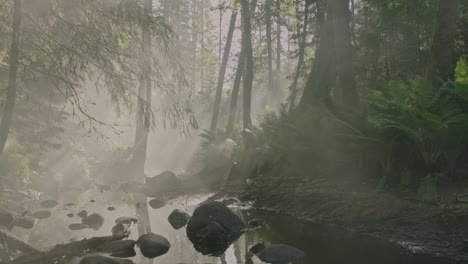 Zauberhafter-Nebelwald:-Ein-Mystischer,-Dichter-Nebel-Bedeckt-Anmutig-Den-üppigen-Waldboden