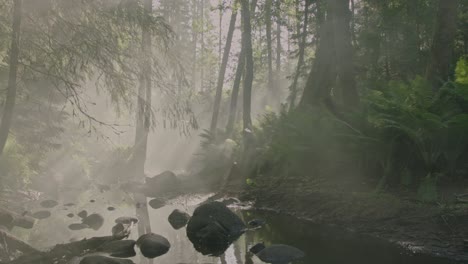 enchanting fog-blanketed forest: a mystical, thick fog gracefully blankets the lush forest floor