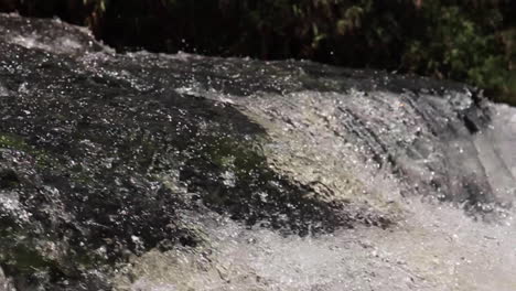 cascada en la selva tropical en colombia