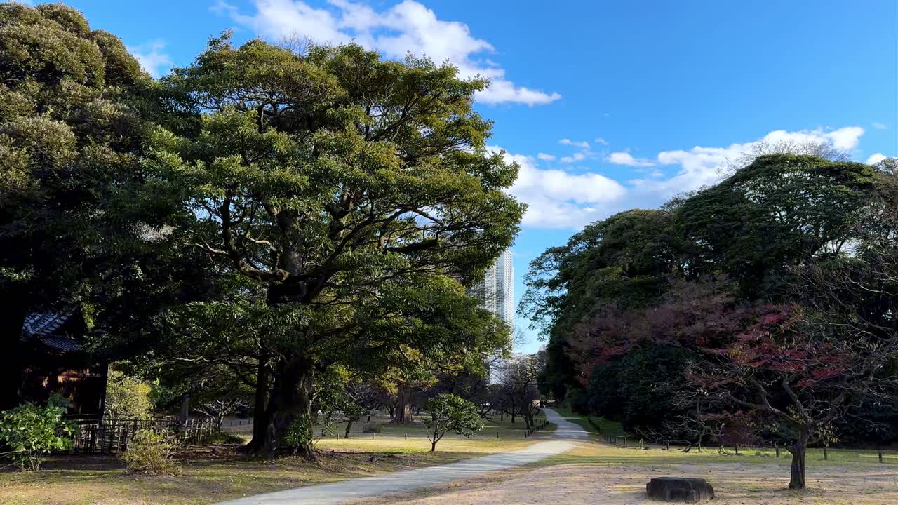 A serene park view in Hama Rikyu Gardens with vibrant trees and a blue sky