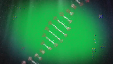 animación digital de formas abstractas sobre la estructura del adn girando contra un fondo verde