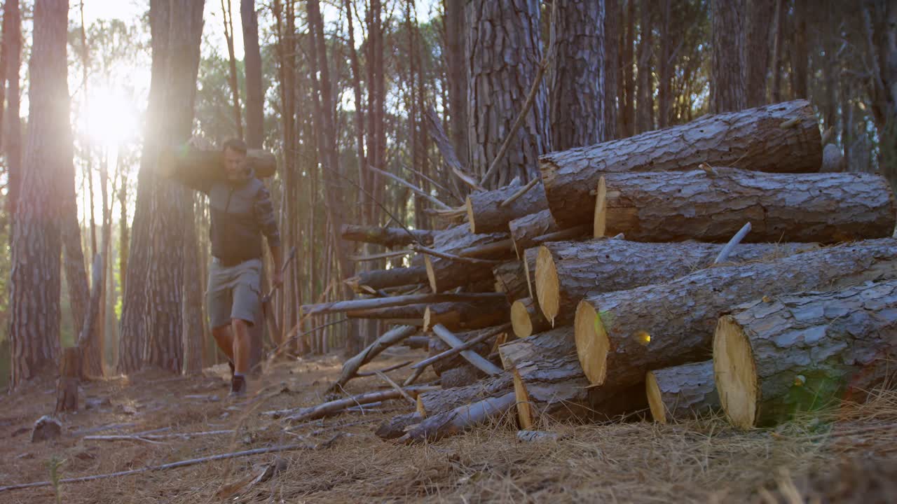 leñador masculino llevando un tronco de madera en el bosque 4k