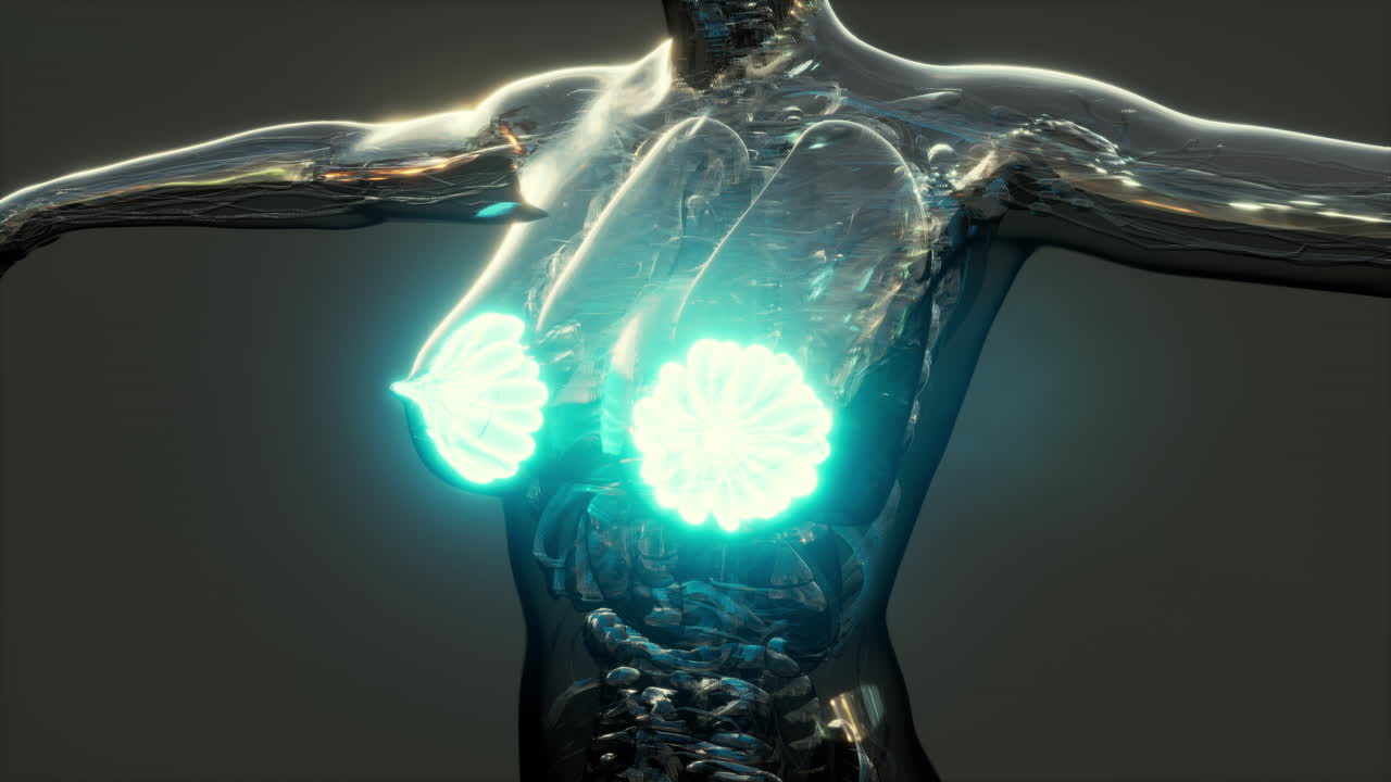 염증의 초점인 암을 가진 여성 유방