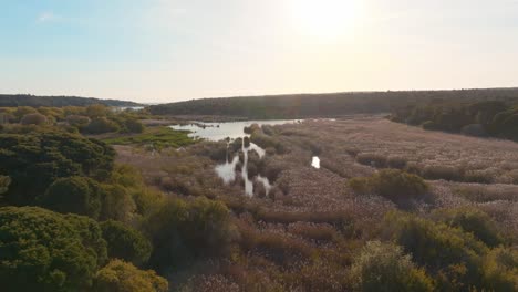 Volando-Sobre-La-Magnífica-Laguna-De-Albufeira-Bajo-La-Luz-Del-Sol,-Portugal