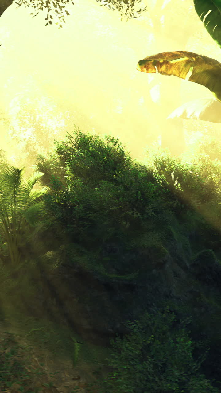 Morning light filters through lush forest canopy in tranquil setting