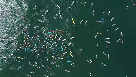 Vista-Aérea-over-surfers-in-circle-during-BLM-Black-Lives-Matter-Paddle-For-Freedom-gathering-in-California-5